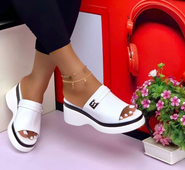 Smart Store Multi-Colour Premium Leather Shoe